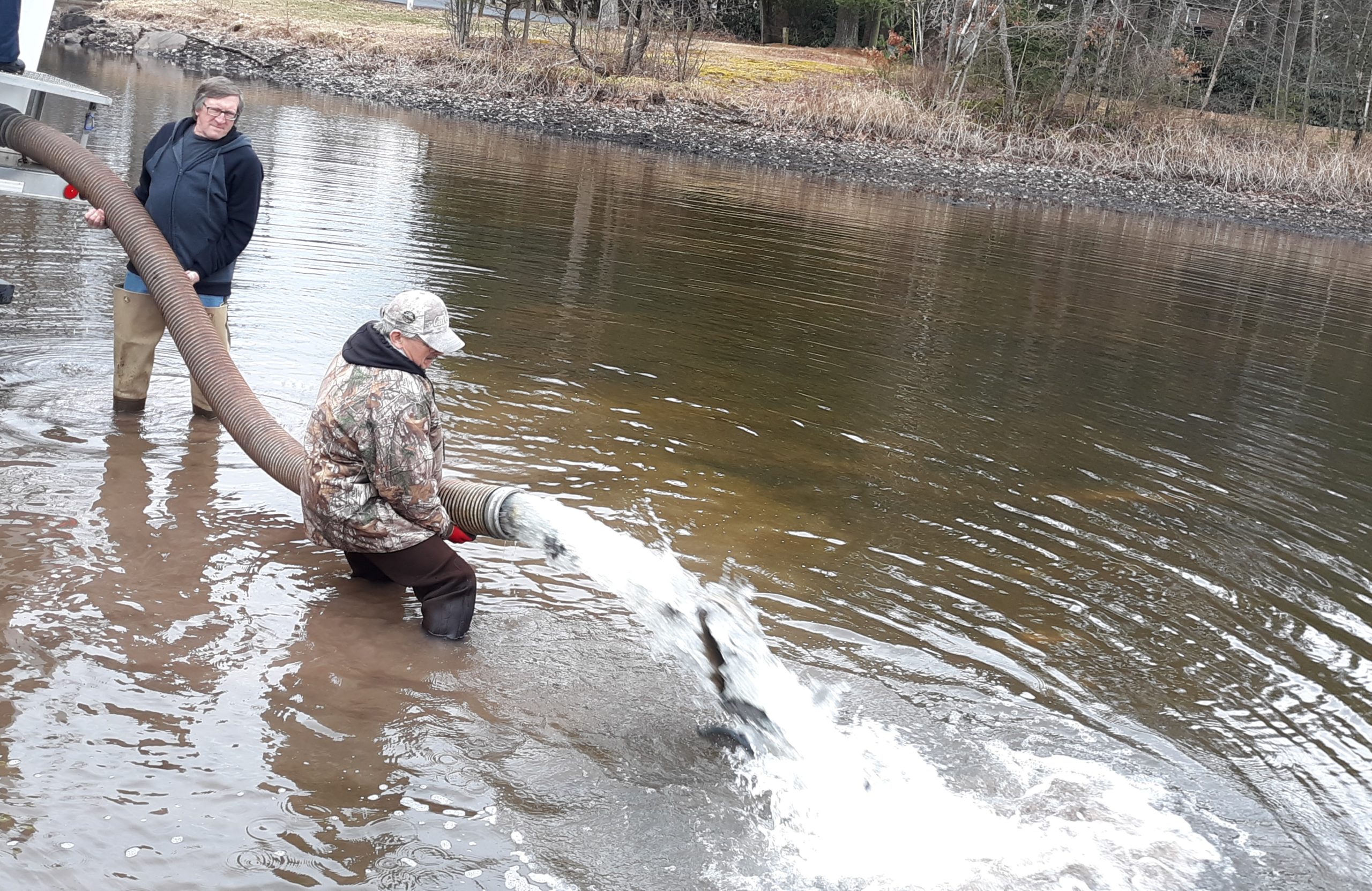 PFBC Implements Major Changes To Trout Stocking Due To Coronavirus ...