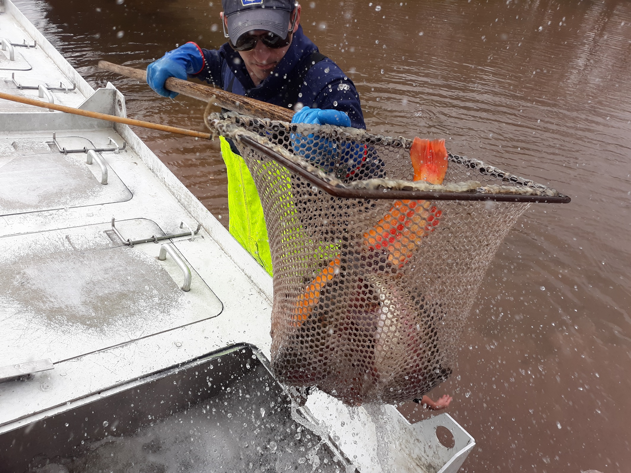pa trout stocking pa trout stocking