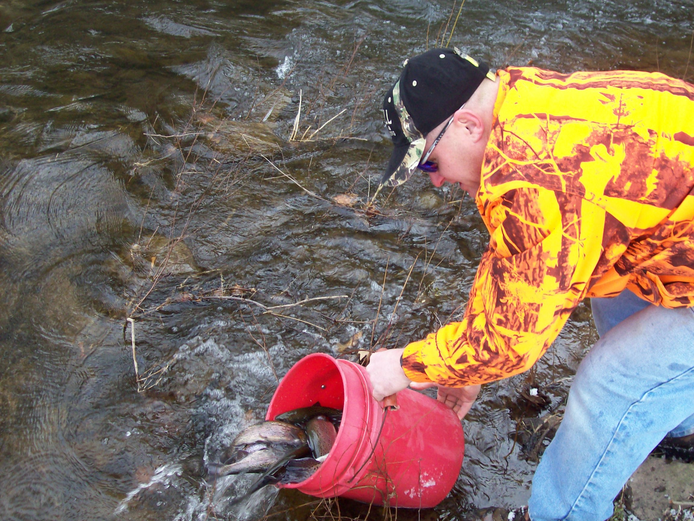 PFBC Considering New Fish Stocking Permit - Venesky Outdoors