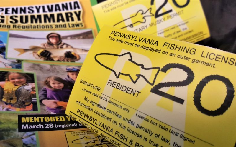 Digital Fishing Licenses To Remain A Permanent Option For Anglers 