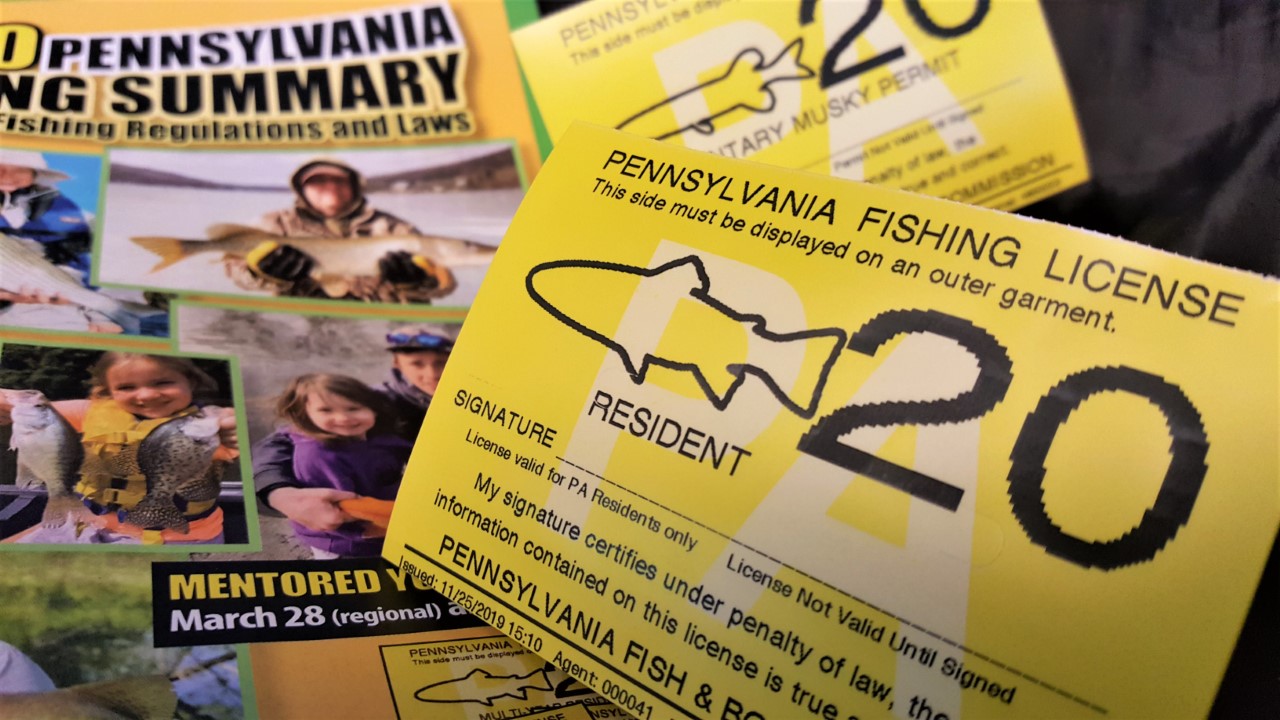 Digital fishing licenses to remain a permanent option for anglers 